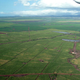 Illustration for article titled Terraforming Maui: The Hawaiian Sugar Industry's Technological Revolution